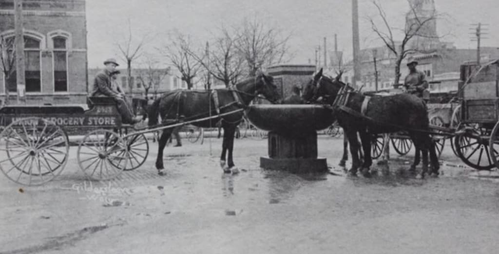 Kate Friend Animal Fountain