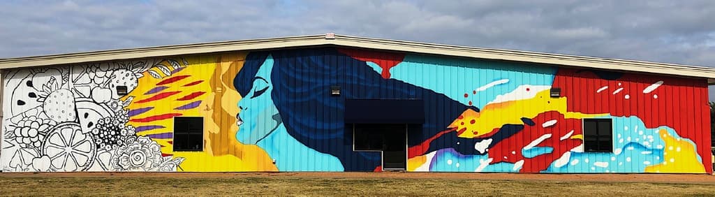 The Color of Health Mural